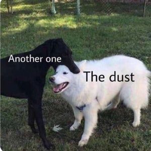 Meet your Posher, Andi